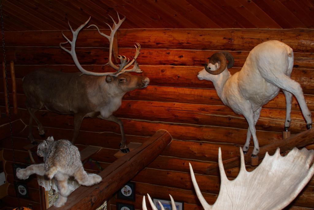 Wise Old Hunter Lodge 앵커 포인트 객실 사진