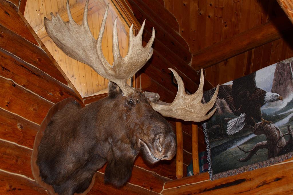 Wise Old Hunter Lodge 앵커 포인트 객실 사진